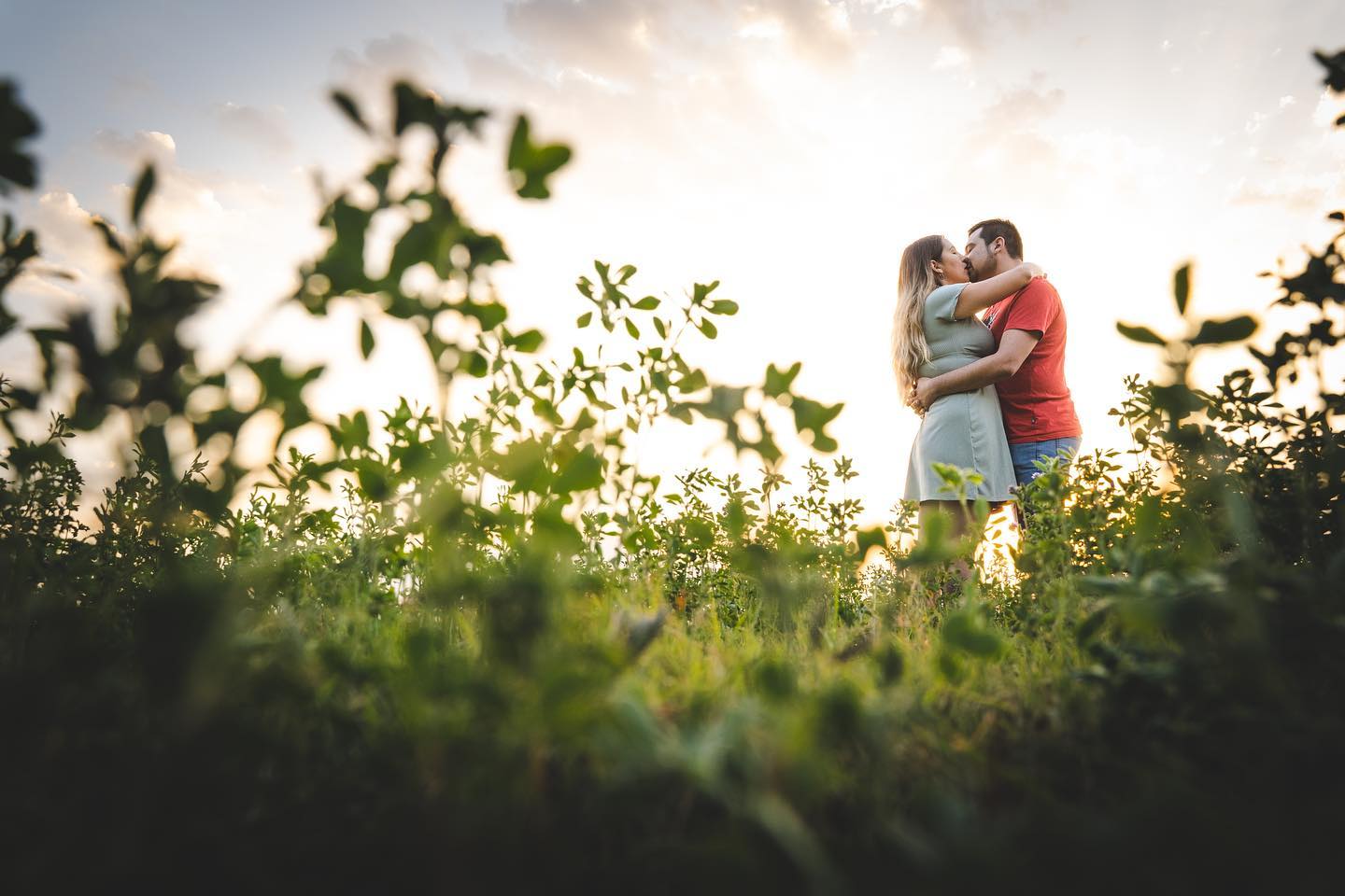 Pareja de enamorados besandose al atardecer en un campo de alfalfa.